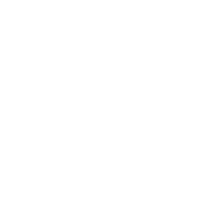 thebitsolutions.com